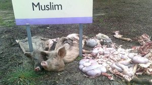 Restes de porcs jetés dans le carré musulman